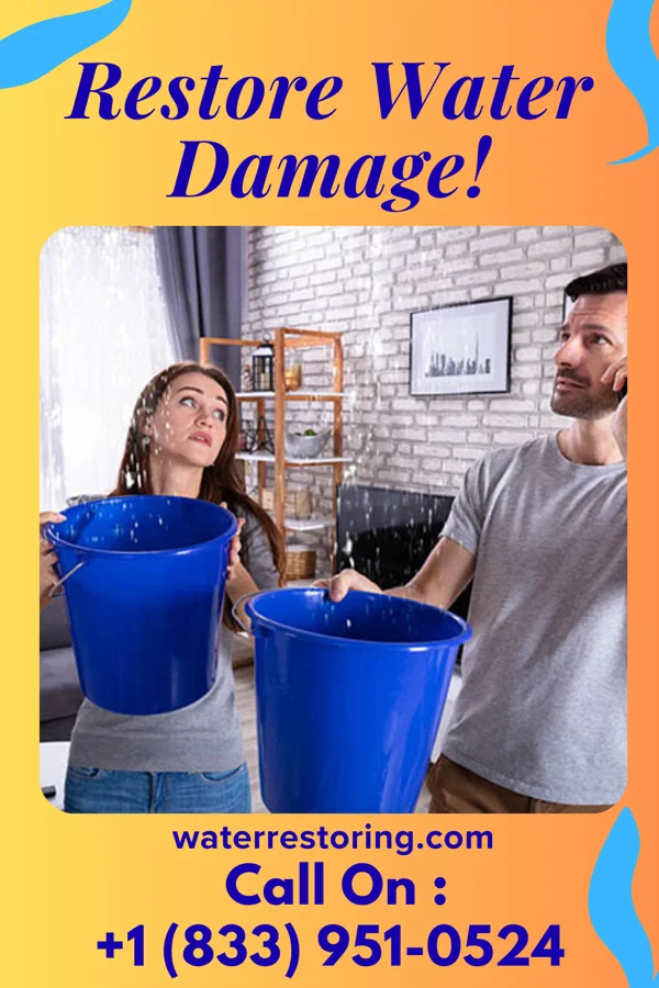 water restoration Sentinel Water Cleanup LLC Lyons